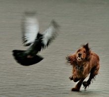 Fear and Passion / ***