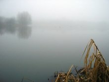 Morgen / ***