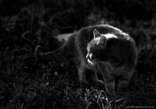 Lichtblick in der Dunkelheit / ***