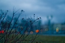 ... Melancholie / .....