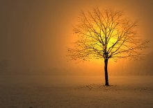 winter time # 1 / canon&computer