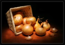 Zwiebel Flucht / ***
