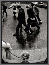 Aus den Augen! / ***
