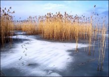 Spuren im Wasser / -------