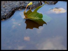 Was ist Herbst? / ***