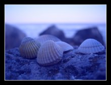 Blue ... / ***