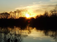 Sonnenuntergang / ***