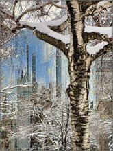 northern city bolero / .....