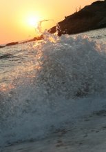 Wave / ***
