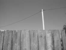 Asymmetrie / ***
