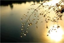 Morgen / ***