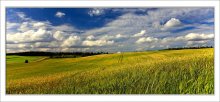 Unser Feld. / ***