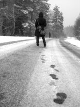 im Zuge der / ***