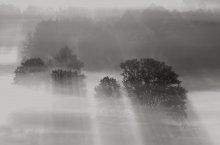 Light erobert Dunst / ***