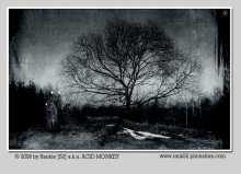 SON inspirierte Musik SIGUR ROS / ***