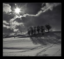 Monochrome Landschaft / ***