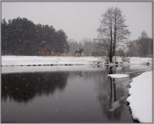 Der letzte Schneesturm ... Zuletzt Duel / ***