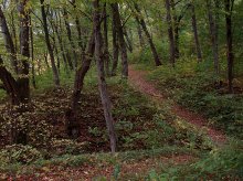 Der Weg ins Dorf / ***