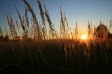 Sonnenuntergang / ***