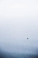 Alte Mann und das Meer / ***