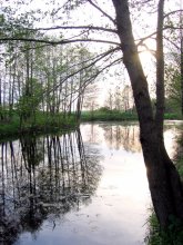 Krinitsa / ***