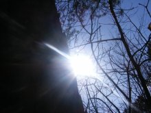 Frühling 1 / ...