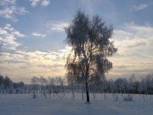 Februar / ***