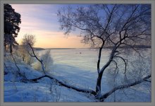 Ufer der Wolga. / ***