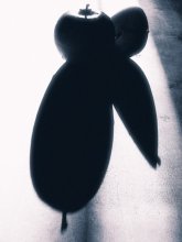 Äpfel / ***