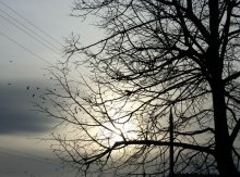 Nebel Licht der Sonne / ***
