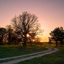 Follow the sunset / ***