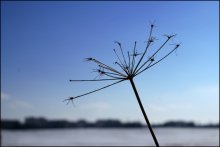 Optimismus / ***