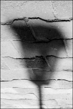 Coup Blick / ***