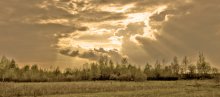 Sky / ***