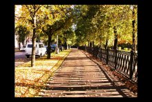 Herbst / ***