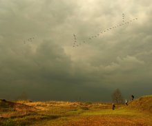 Zugvögel / ***