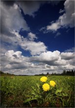 Um die Sonne! / ***