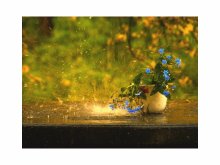 Und gerade heute gab es regen .... / ***