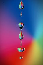 Bunte Makro ... / ***