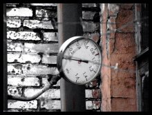 unter Davleyev / ***