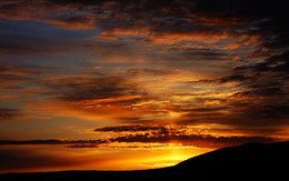 Sonnenstich / ***