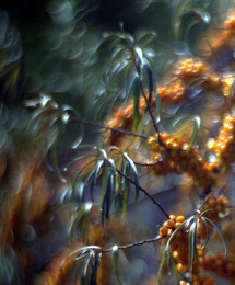 Sonnenstich / ***