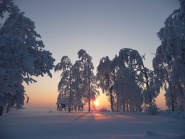 Sonnenstich / ***
