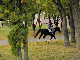 im Park / ***