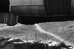  / fomapan-200