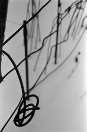  / Ilford pan 100