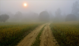 Fata Morgana / ***