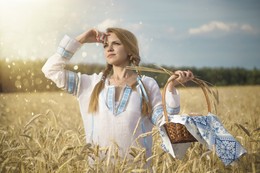 Feld / ***