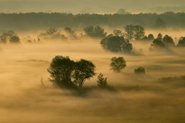 Sea of Dreams / . . .