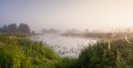 Sommermorgen / ***